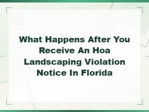 Steps After Receiving an Hoa Landscaping Violation in Florida